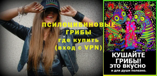 амфетамин Белокуриха